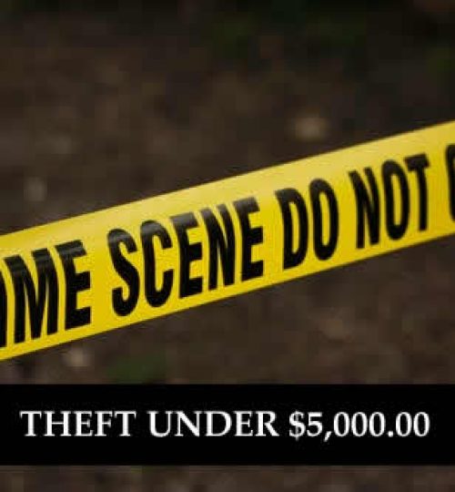 Theft Under $5000